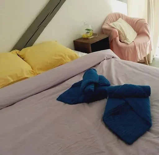 Maison Centre Historique *